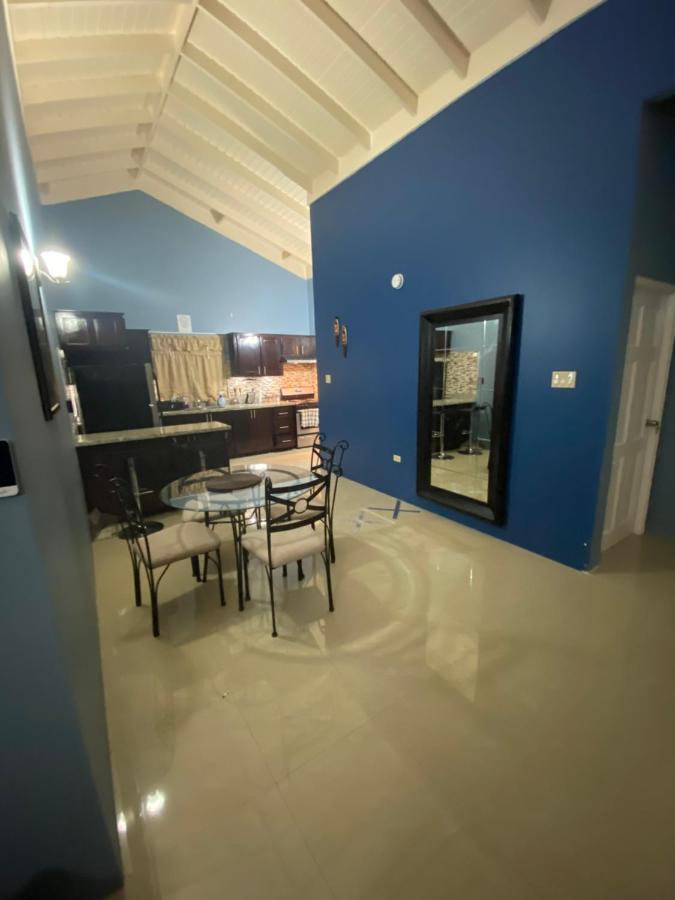 Villa Oasis Drax Hall Очо-Ріос Екстер'єр фото